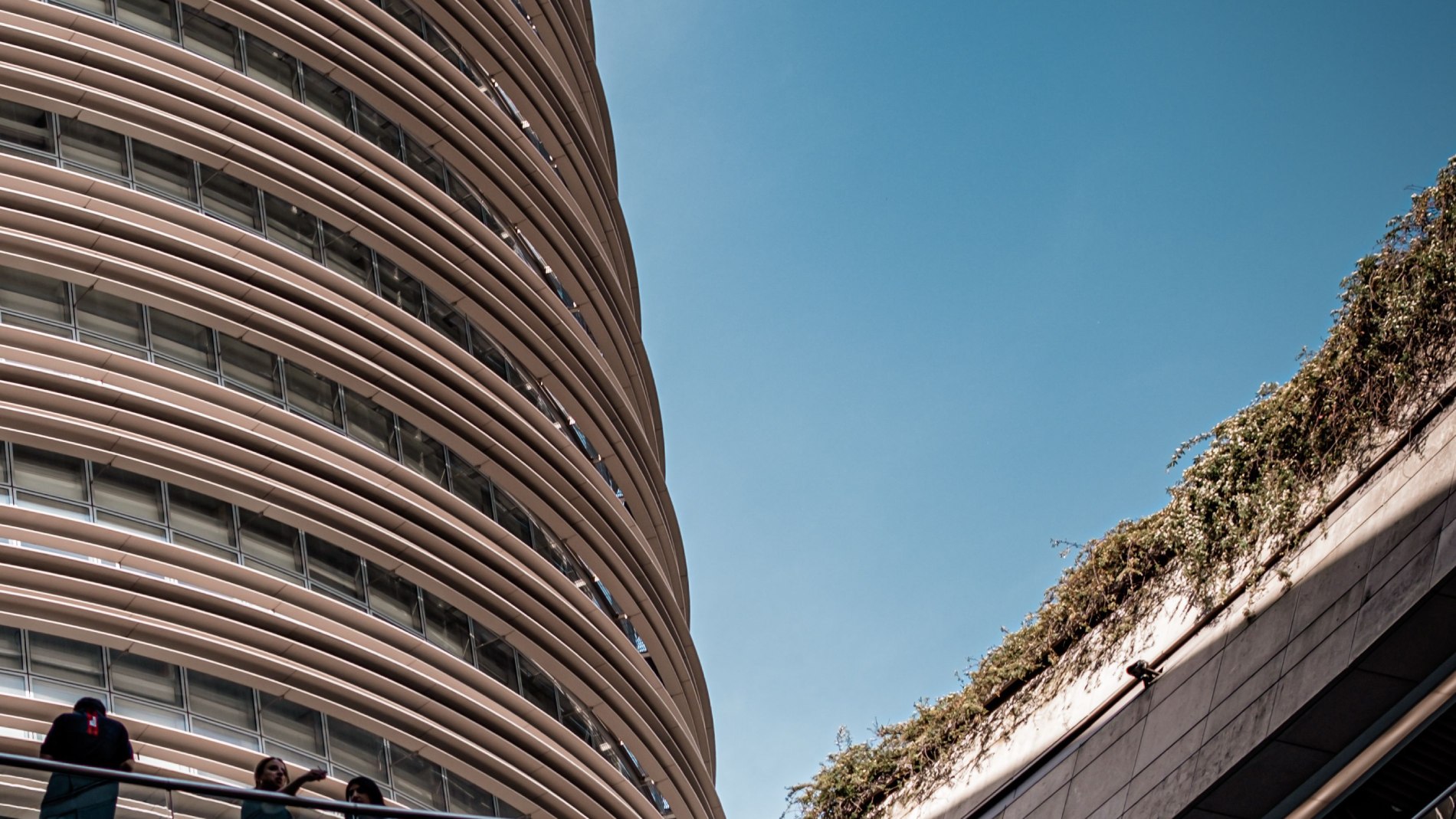 Perspectives on Healthcare Innovation, Investment and Global Market Expansion